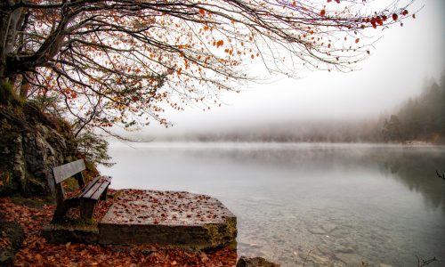 einsame bank im herbst am see